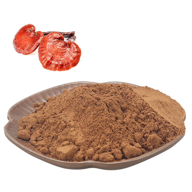 Longevity Support Formula with Forest Mushrooms